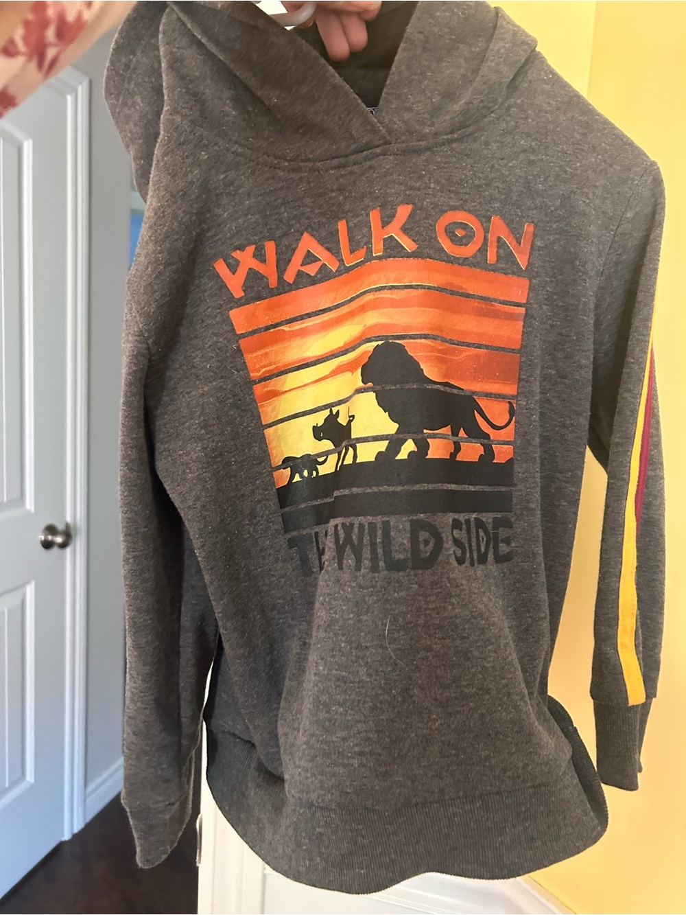 Kids lion king sweater